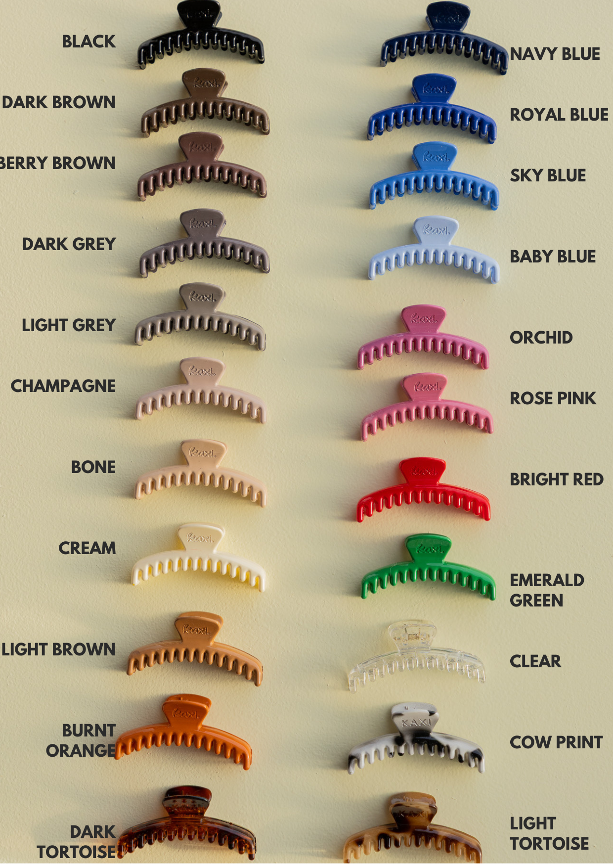 SHINY MINI HOLD EVERYTHING CLAW