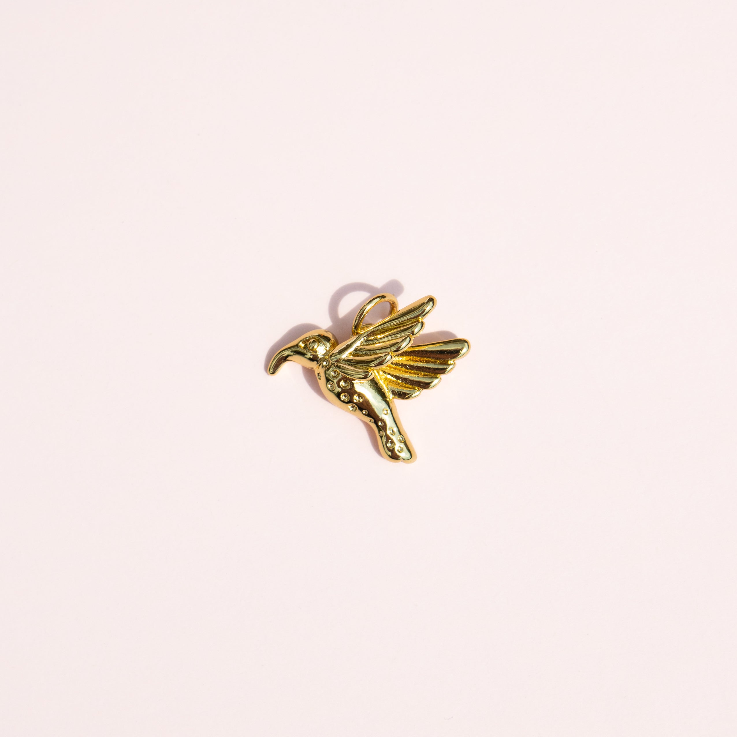 Hummingbird Charm