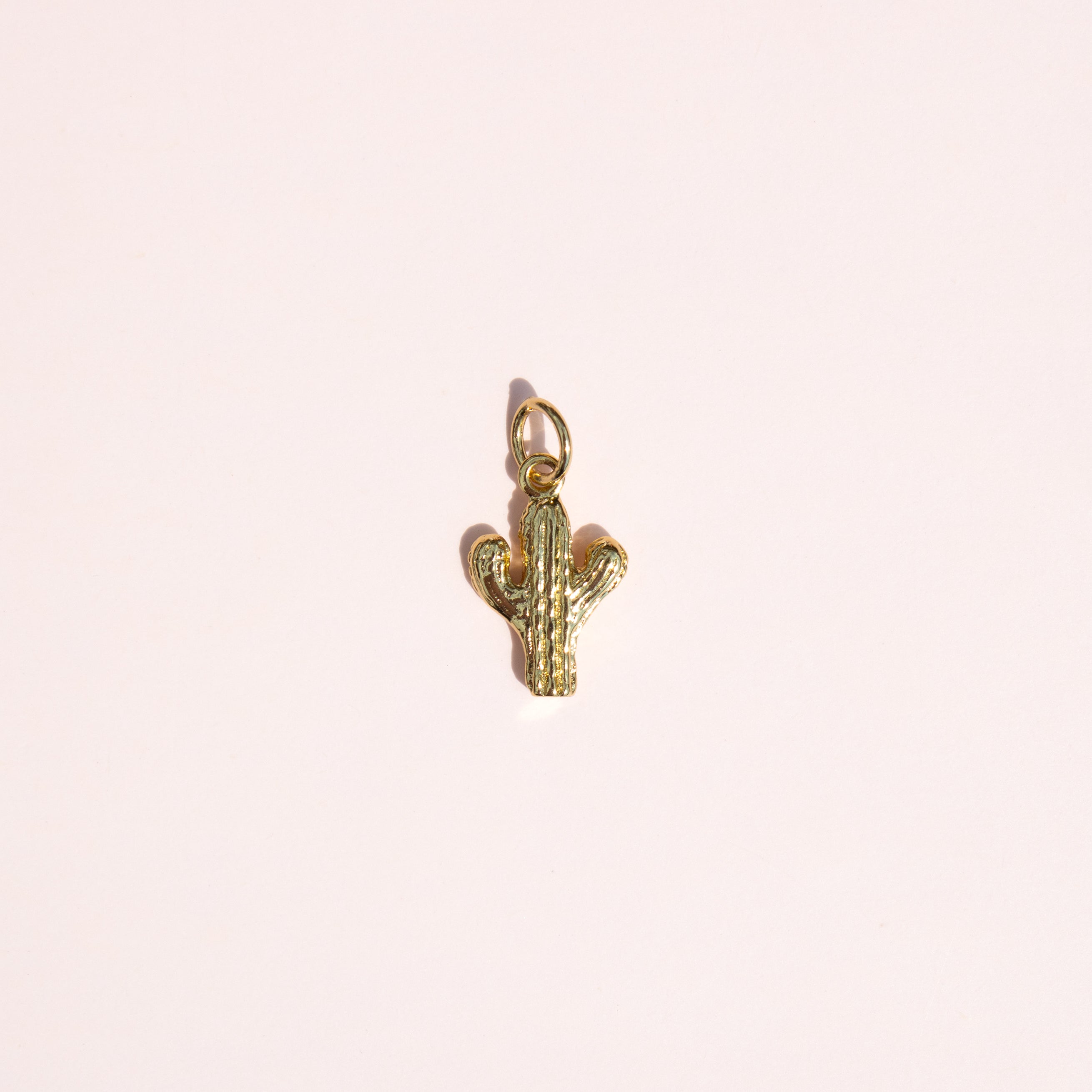 Tiny Cactus Charm