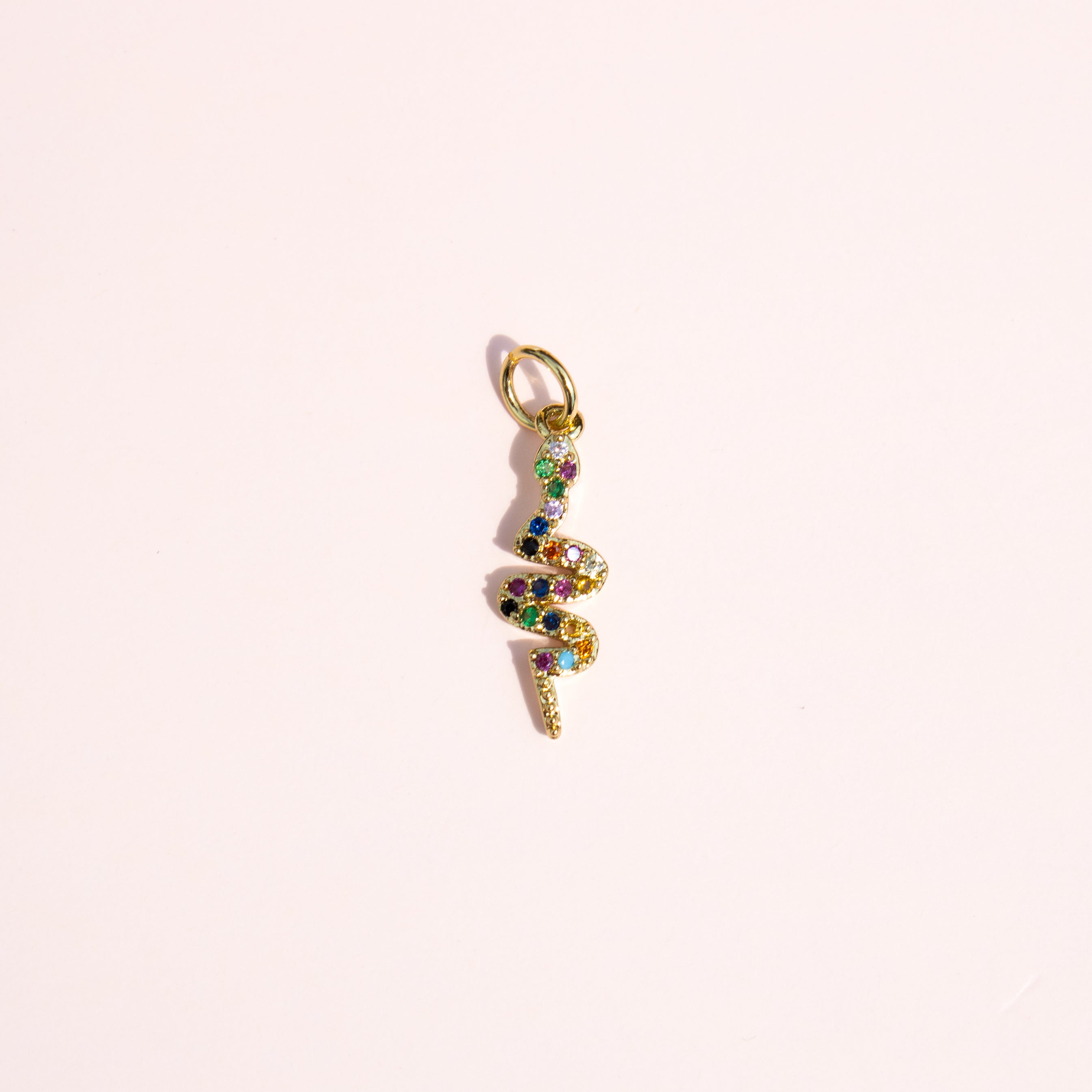 Rainbow Snake Charm