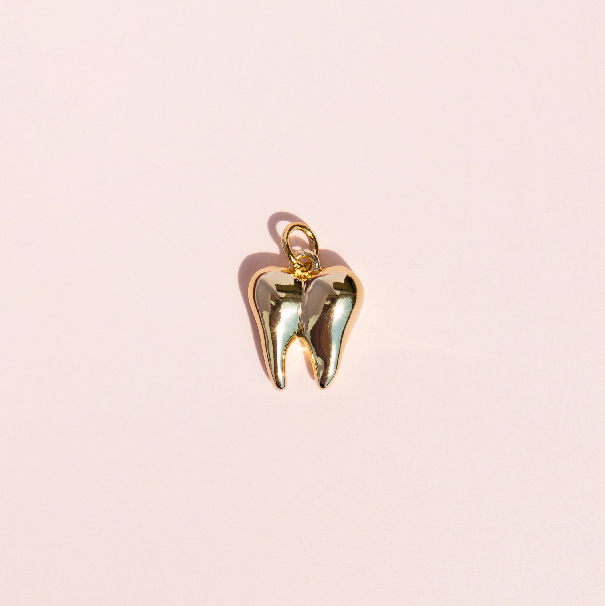 Tooth Charm