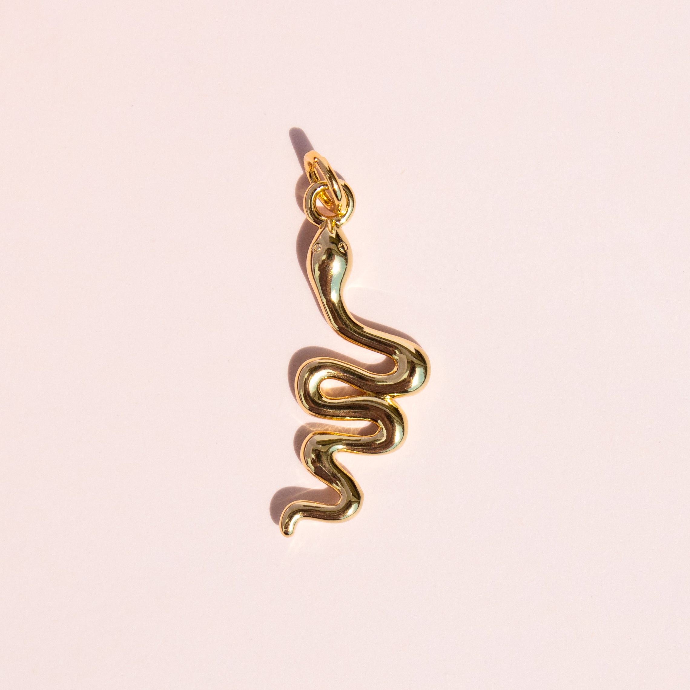 Snake Charm