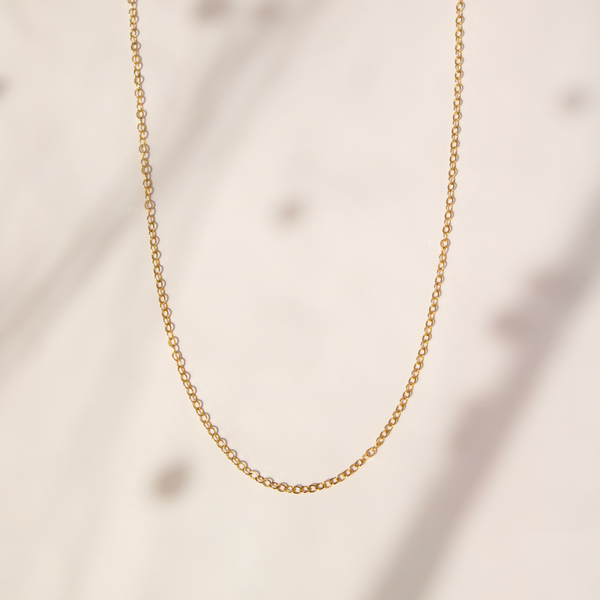 MG_9769-square_grande.png?v=